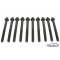 Bouten, Cilinderkop (set van 10) Saab 99, 90, 900 -93